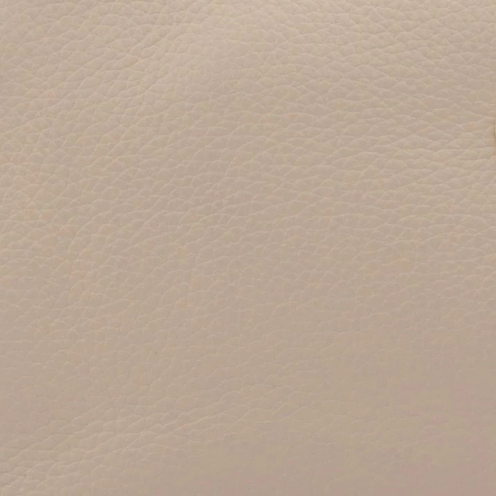 Tara Nude Leather Crossbody ShoeBeDoo
